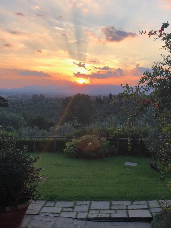 Podere Jana Antico Frantoio Βίντσι Εξωτερικό φωτογραφία