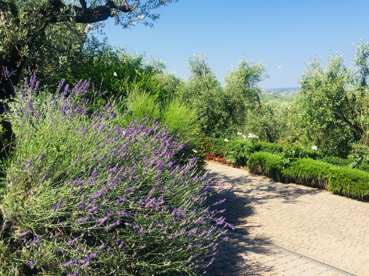 Podere Jana Antico Frantoio Βίντσι Εξωτερικό φωτογραφία