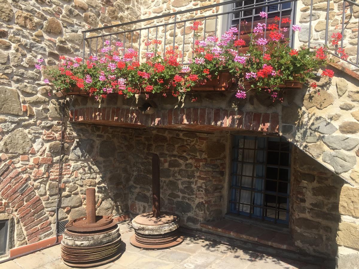 Podere Jana Antico Frantoio Βίντσι Εξωτερικό φωτογραφία